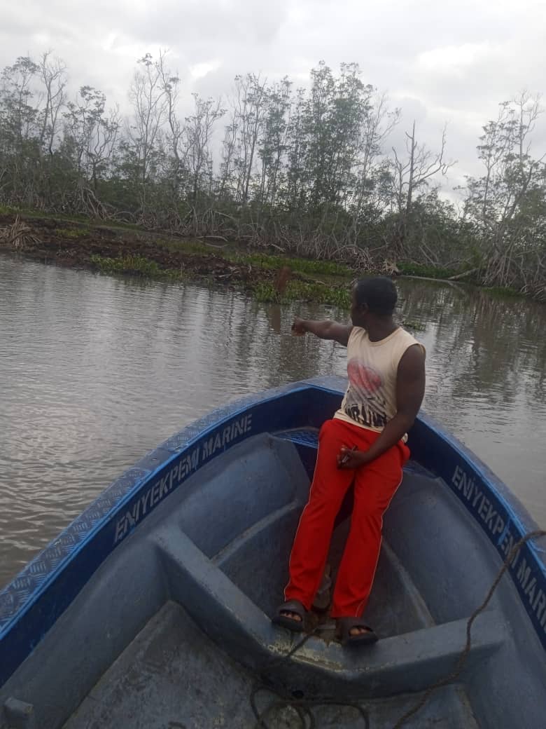 Crew member in a small blue boat on a creek lined with mangroves